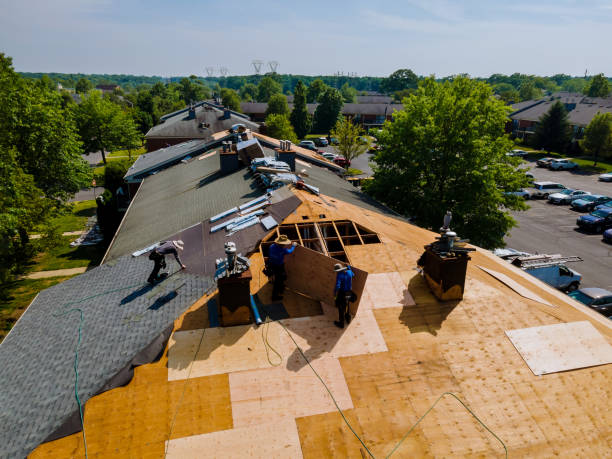 Best Roof Restoration Services  in Marion, WI