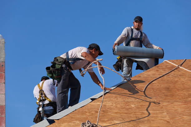 Best Best Roofing Contractors  in Marion, WI