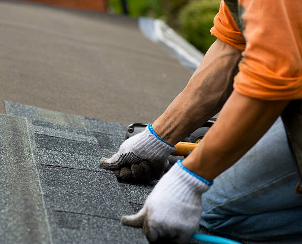 Best Roofing Contractors for Homes  in Marion, WI