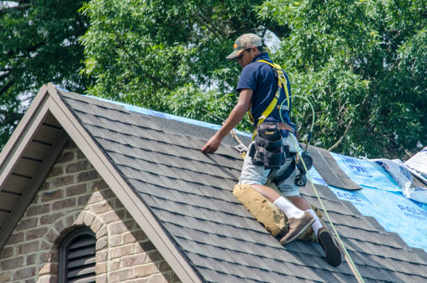 Best Best Roofing Contractors  in Marion, WI
